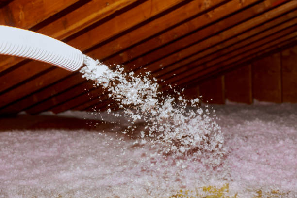 Best Geographic-Specific Insulation Services in Point Pleasant Beach, NJ